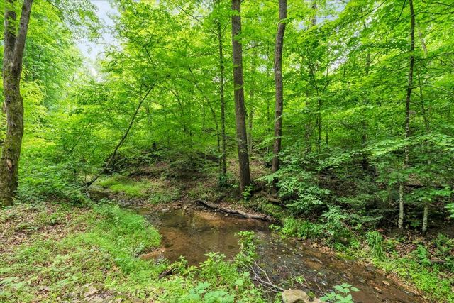 488 Prater Rd, Smithville, TN 37166