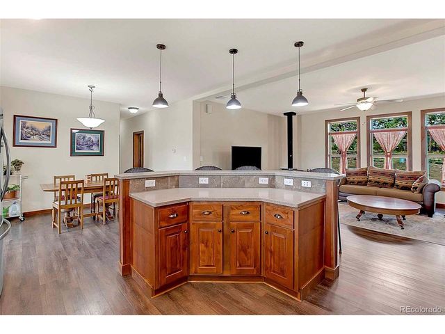 496 Julia Rd, Guffey, CO 80820