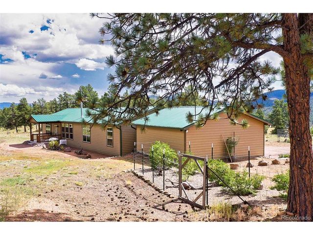 496 Julia Rd, Guffey, CO 80820