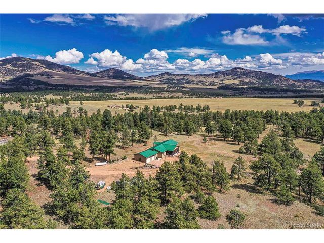 496 Julia Rd, Guffey, CO 80820