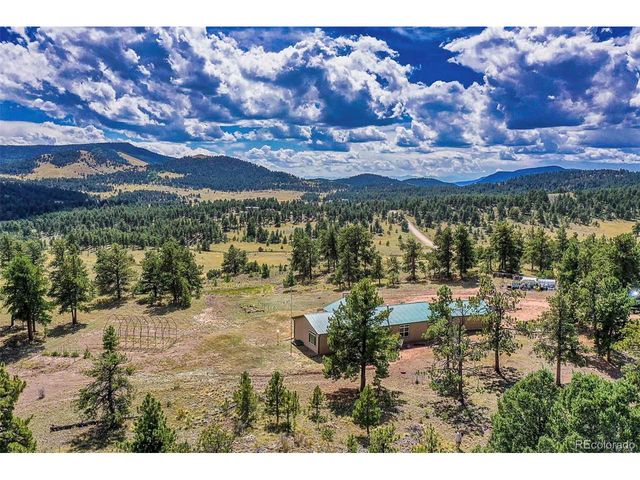 496 Julia Rd, Guffey, CO 80820