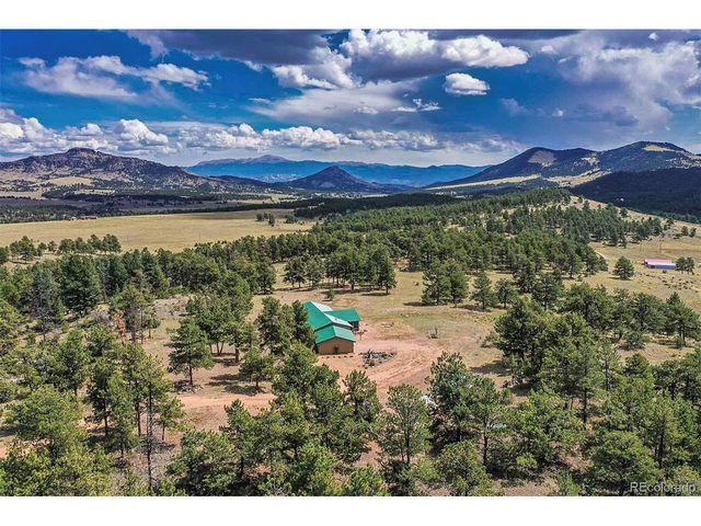 496 Julia Rd, Guffey, CO 80820