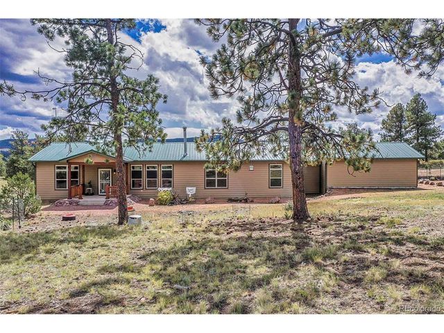 496 Julia Rd, Guffey, CO 80820