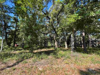 9545 N Bayou Road, Lillian, AL 36549