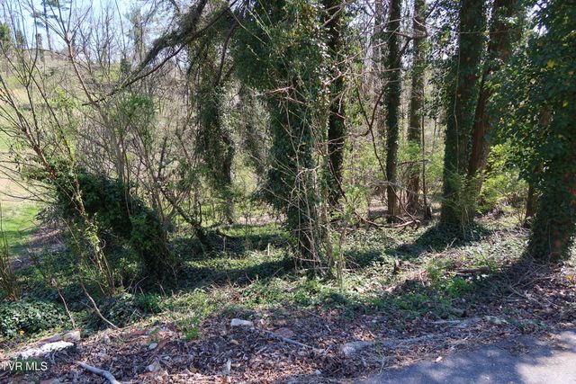 Tbd Crest Road, Kingsport, TN 37664