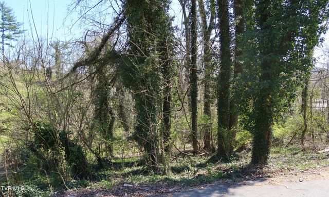 Tbd Crest Road, Kingsport, TN 37664