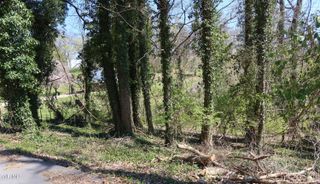 Tbd Crest Road, Kingsport, TN 37664