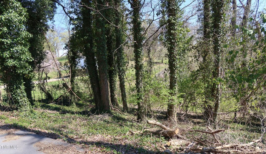 Tbd Crest Road, Kingsport, TN 37664
