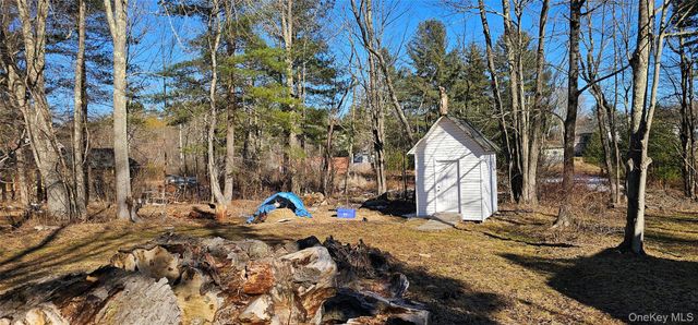 8 Central Avenue, White Lake, NY 12786