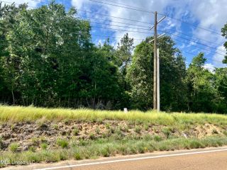 Lot 5 Hwy 24, Centreville, MS 39631