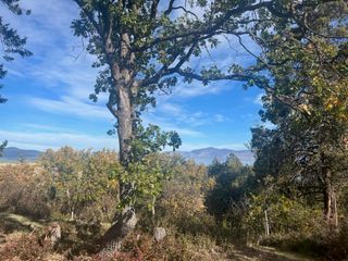 Osprey Lane 198, Klamath Falls, OR 97601