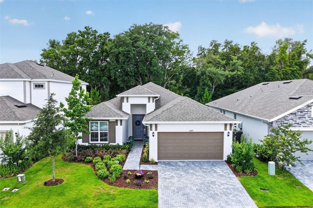 2289 SIRENA LANE, Mount Dora, FL 32757