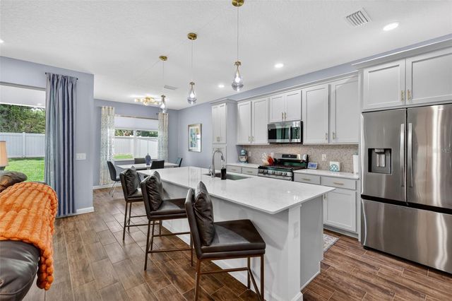 2289 SIRENA LANE, Mount Dora, FL 32757