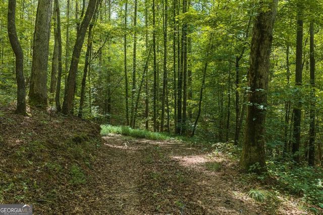 300 Sumac Lane 53, Ellijay, GA 30540