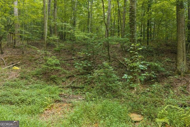 300 Sumac Lane 53, Ellijay, GA 30540