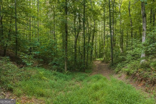 300 Sumac Lane 53, Ellijay, GA 30540