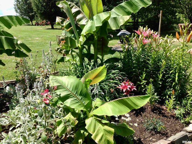 550 S VIENNA Road, Olmsted, IL 62970