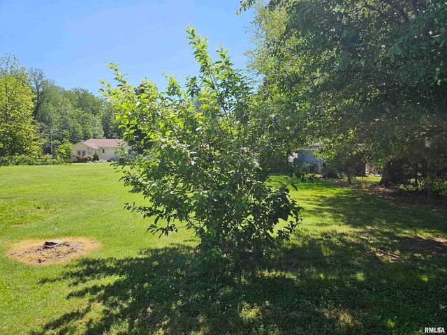 550 S VIENNA Road, Olmsted, IL 62970