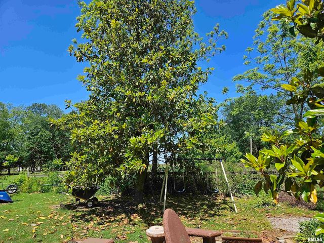 550 S VIENNA Road, Olmsted, IL 62970