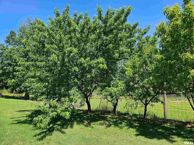 550 S VIENNA Road, Olmsted, IL 62970