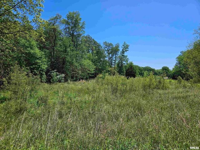 550 S VIENNA Road, Olmsted, IL 62970