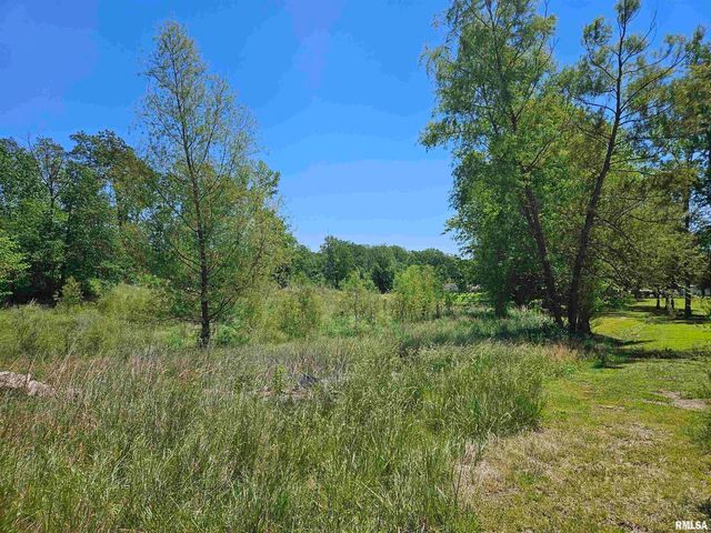 550 S VIENNA Road, Olmsted, IL 62970