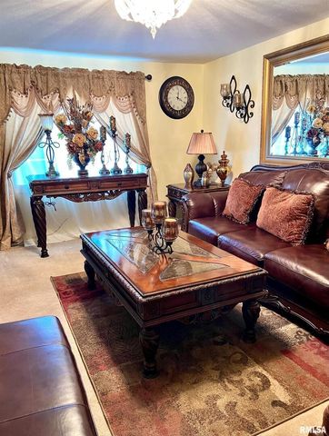 550 S VIENNA Road, Olmsted, IL 62970