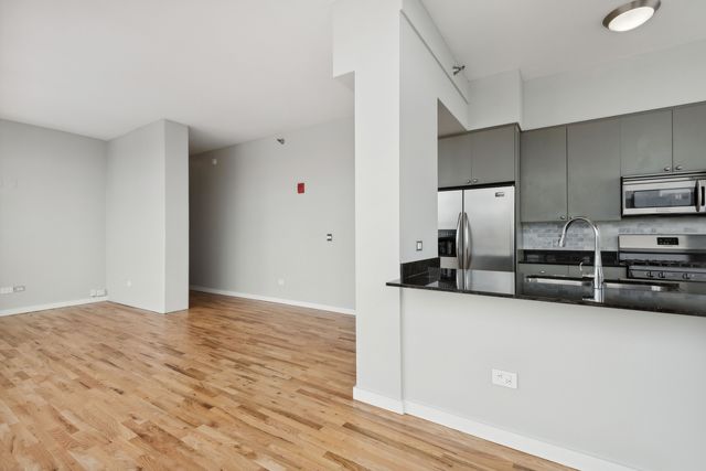 1720 S Michigan Avenue 2218, Chicago, IL 60616