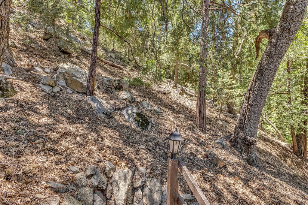 Image 25 of property listing at 52751 Fernland Drive, Idyllwild, CA 92549