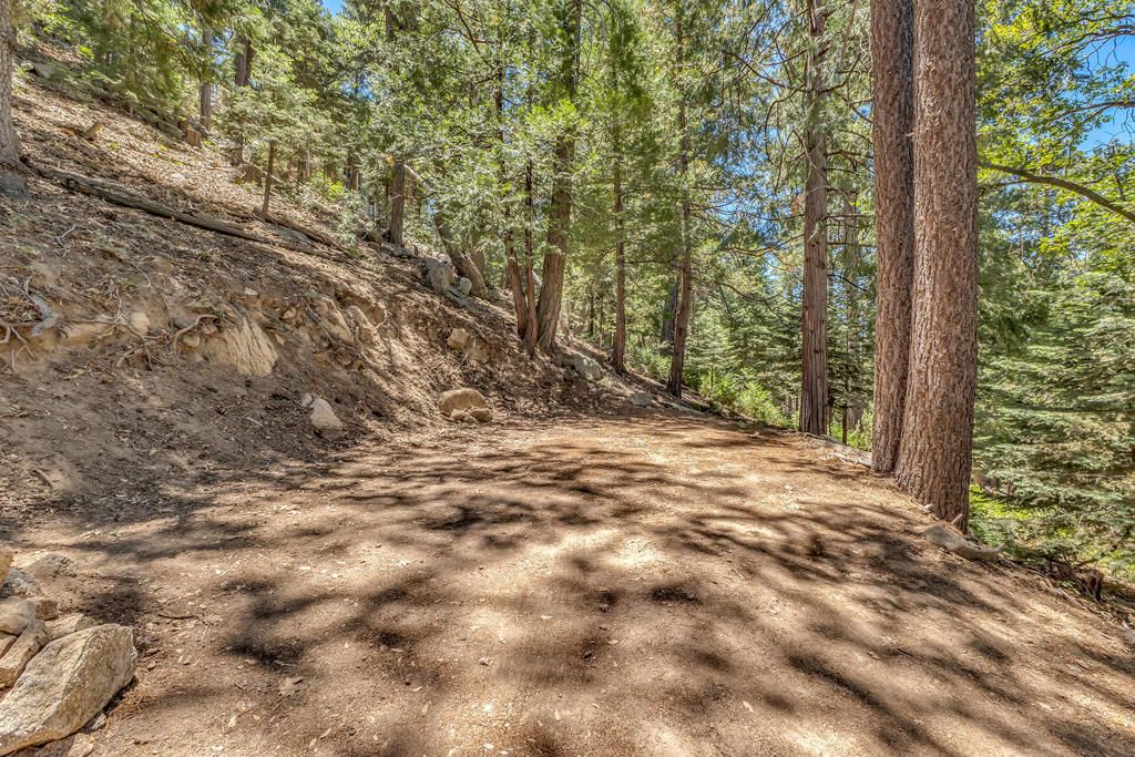 Image 26 of property listing at 52751 Fernland Drive, Idyllwild, CA 92549