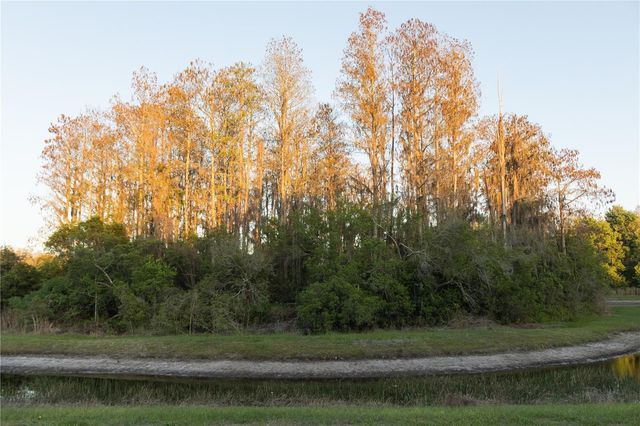 3037 DOWNAN POINT DRIVE, Land O Lakes, FL 34638