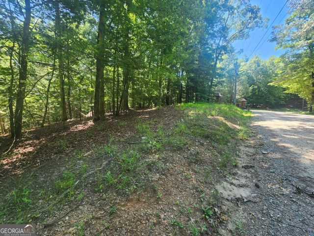 LOT 3 Meadow View Drive 3, Morganton, GA 30560