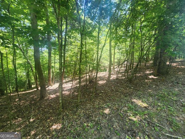 LOT 3 Meadow View Drive 3, Morganton, GA 30560