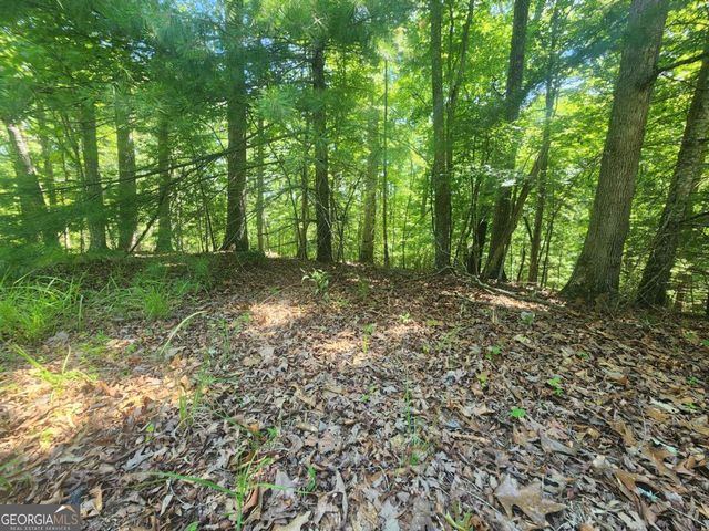 LOT 3 Meadow View Drive 3, Morganton, GA 30560