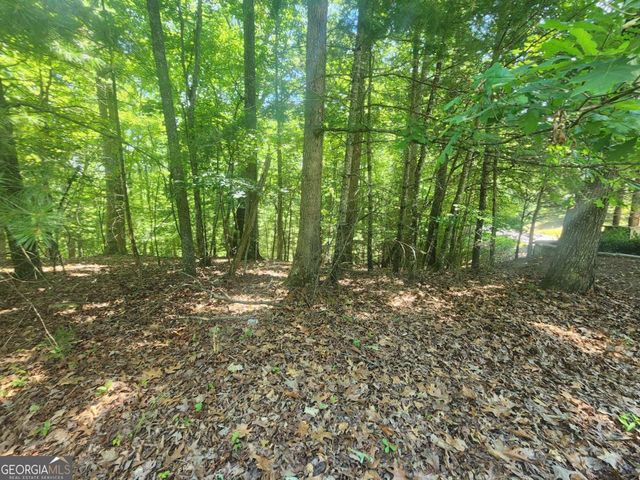 LOT 3 Meadow View Drive 3, Morganton, GA 30560