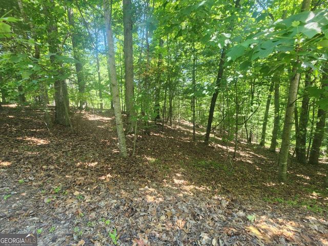 LOT 3 Meadow View Drive 3, Morganton, GA 30560