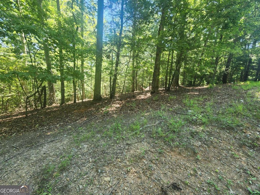 LOT 3 Meadow View Drive 3, Morganton, GA 30560