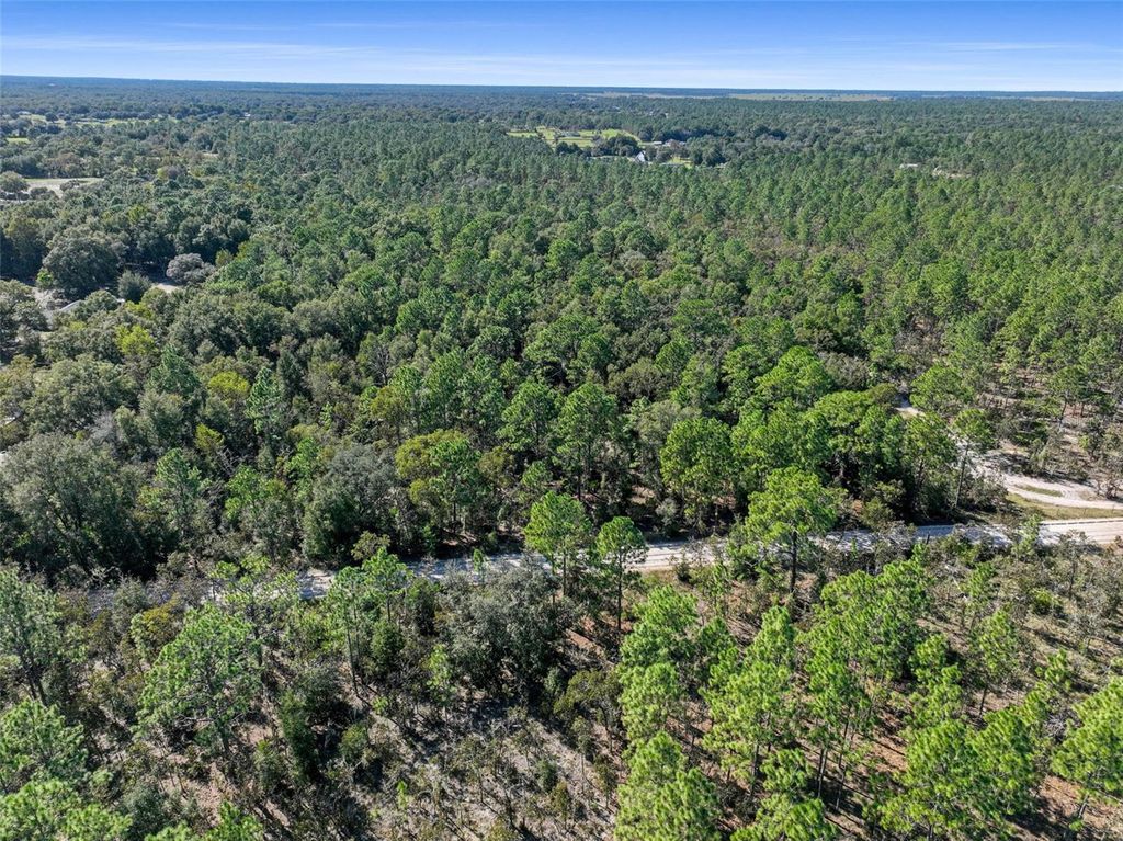 0 SW 103RD LANE, Dunnellon, FL 34432