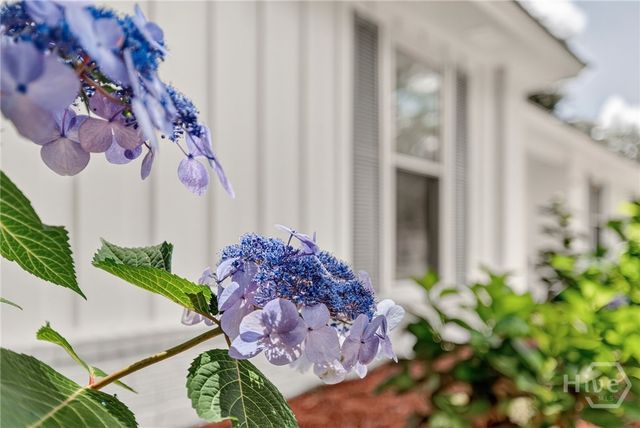 208 Dobson Road, Savannah, GA 31410
