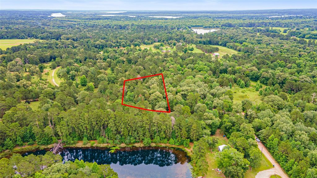 TBD Ben Blair Road, Trinity, TX 75862