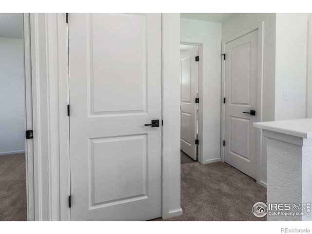 3277 Comet Street, Fort Collins, CO 80524