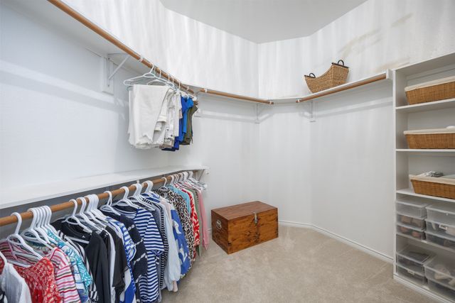 713 Sweet Peach Drive, Allen, TX 75002