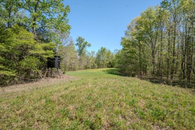 2167 Powdermill Hill Rd, Lawrenceburg, TN 38464