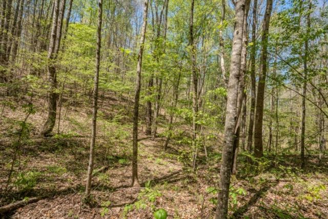 2167 Powdermill Hill Rd, Lawrenceburg, TN 38464