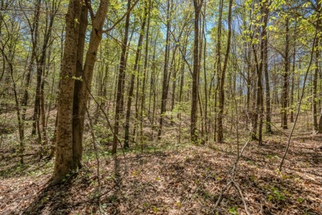 2167 Powdermill Hill Rd, Lawrenceburg, TN 38464