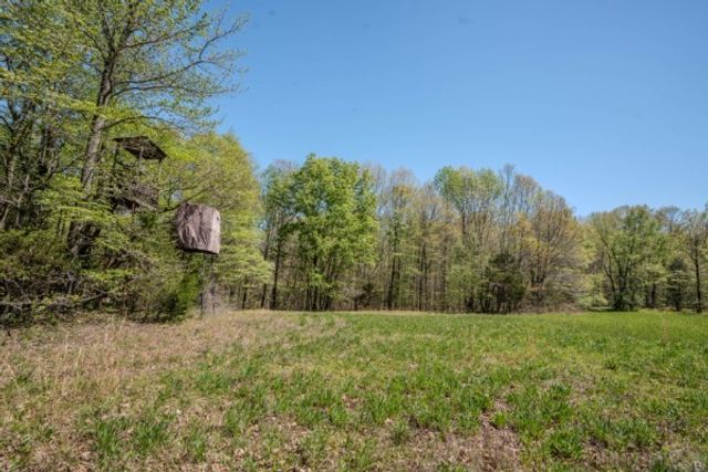 2167 Powdermill Hill Rd, Lawrenceburg, TN 38464