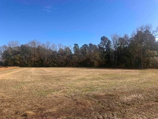 SE Elvington Rd., Nichols, SC 29581