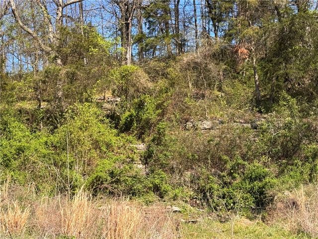 3705 Highway 311, Green Forest, AR 72638