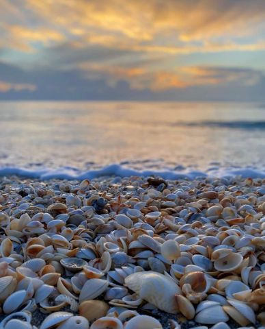 1801 S US HIGHWAY 1 Highway 6A, Jupiter, FL 33477