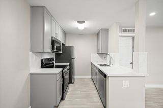 2201 Fountain View Drive 25, Houston, TX 77057